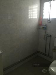 Blk 230 Hougang Avenue 1 (Hougang), HDB Executive #107064472